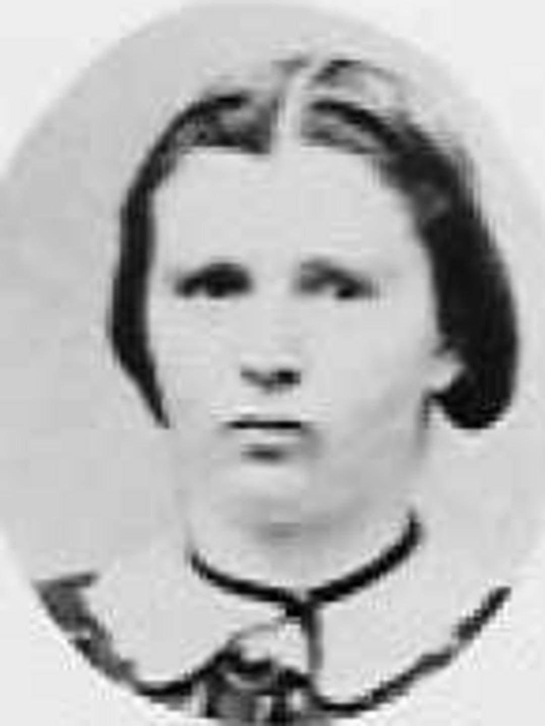 Jane Messervy (1844 - 1894) Profile